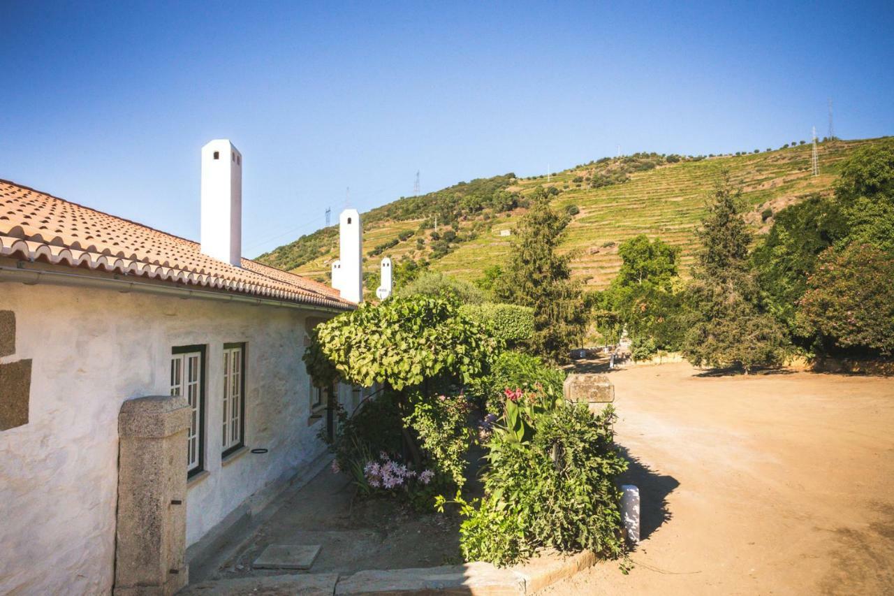 페소다레과 Quinta Do Valdalagea 게스트하우스 외부 사진